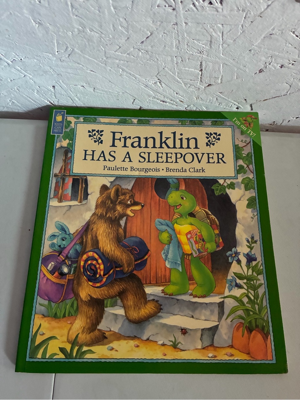 Franklin Has a Sleepover Children's Book - Green